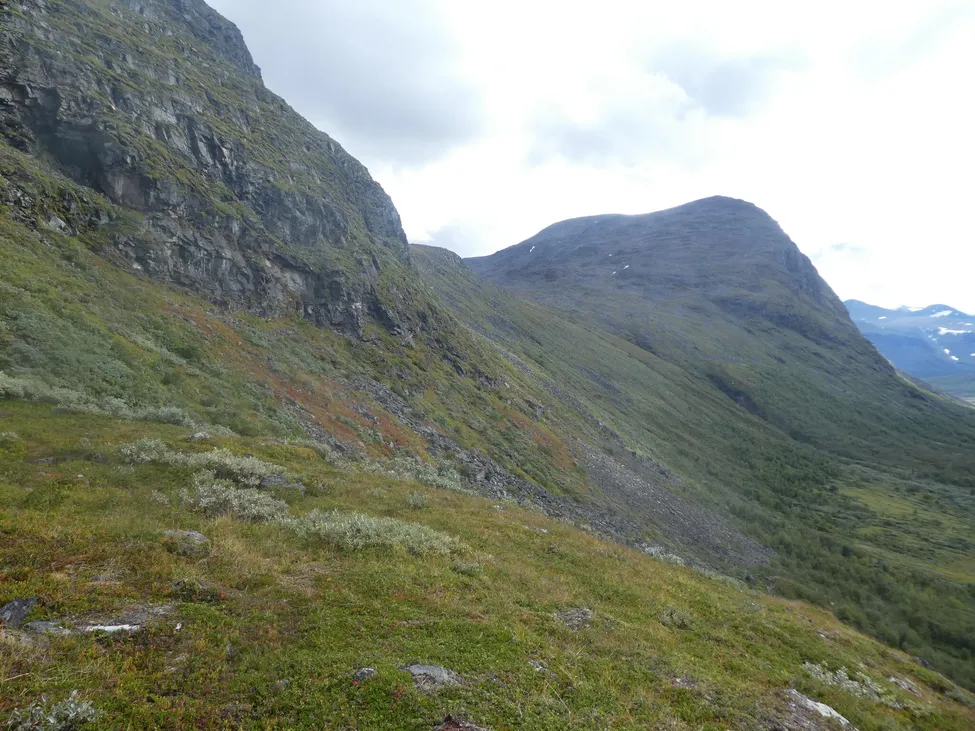 Klicka för att förstora