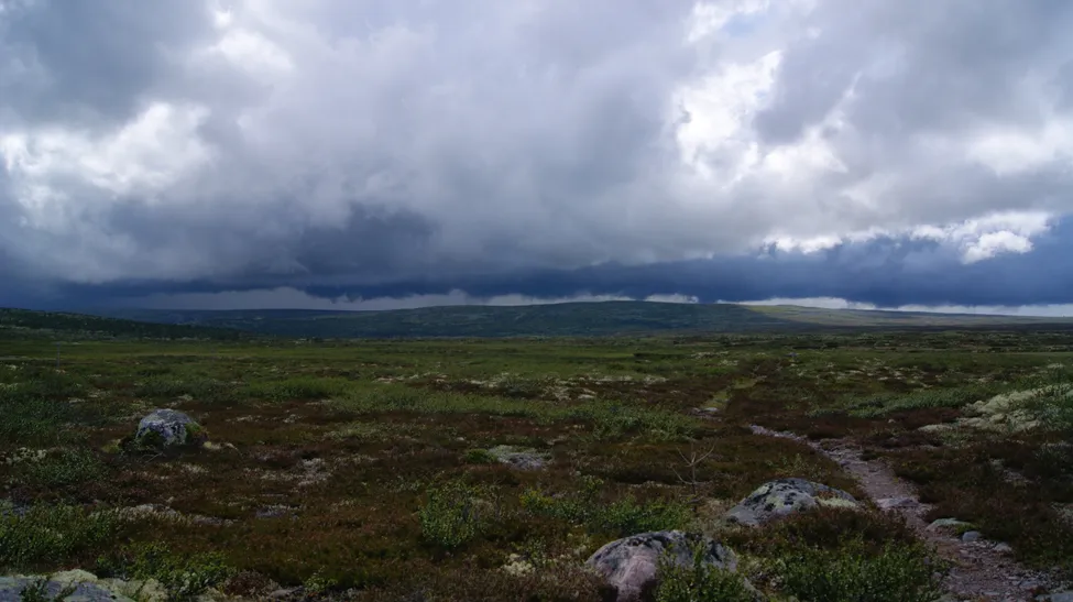 Klicka för att förstora