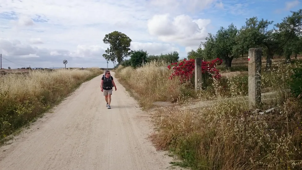 Klicka för att förstora