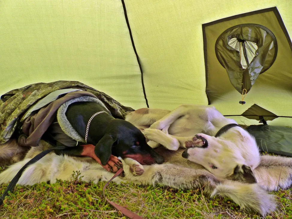 Klicka för att förstora