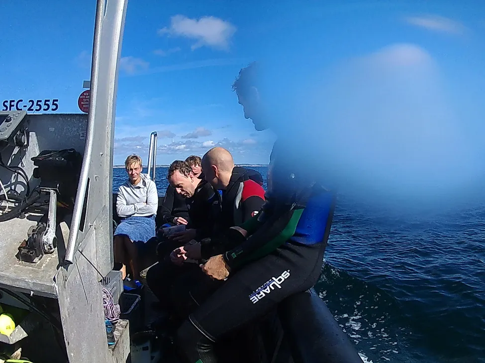 Klicka för att förstora