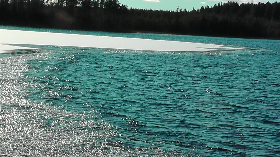 Klicka för att förstora