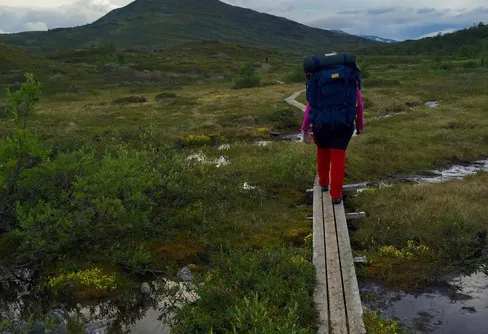 Fjällvandring kring Abisko!