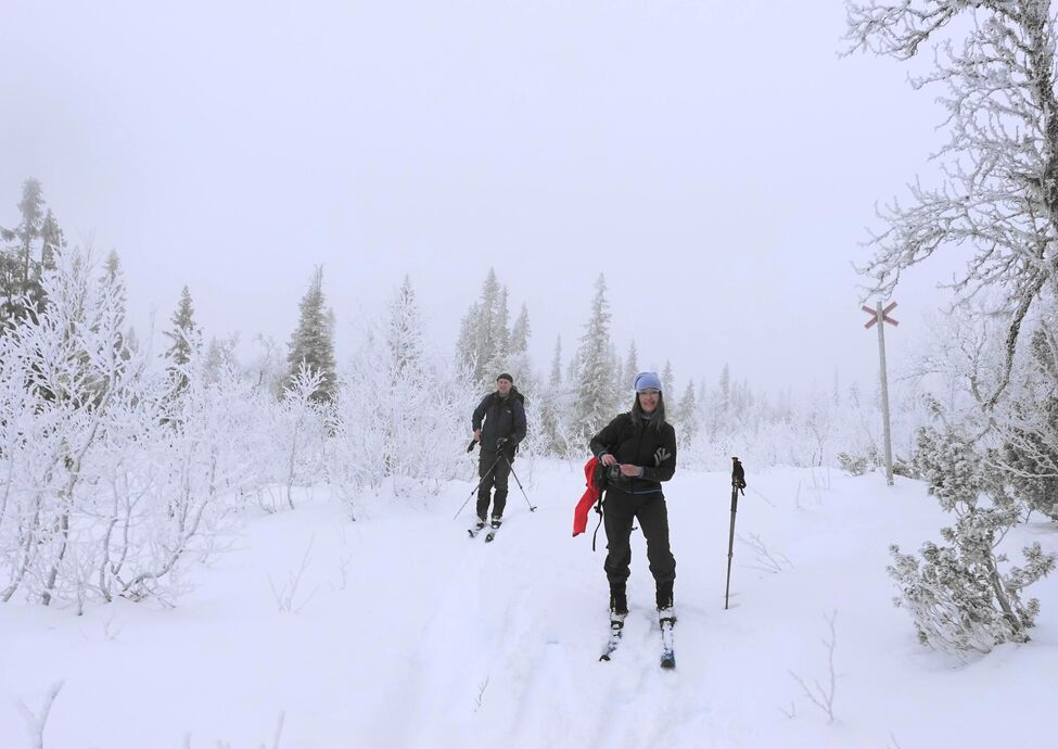 Klicka för att förstora