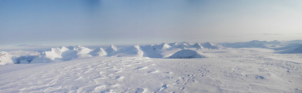 Klicka för att förstora