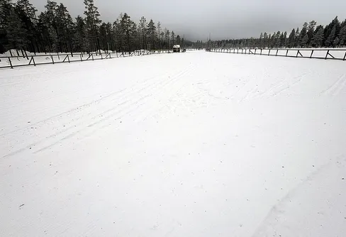 Skidåkning, Grönland och Vasaloppet