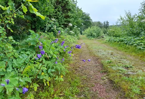 Byträsk, Geta, Åland