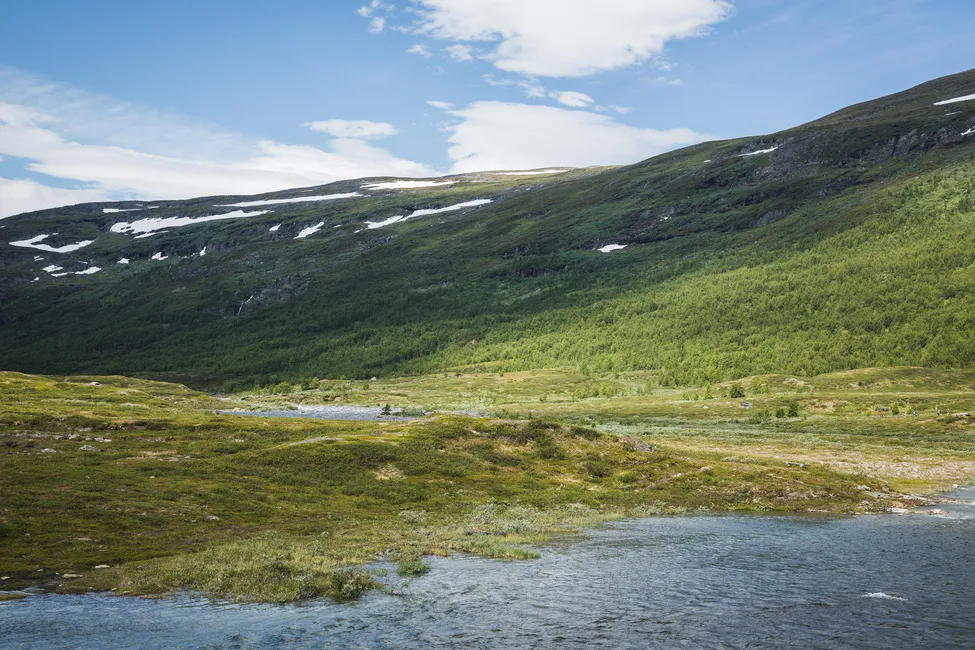 Klicka för att förstora
