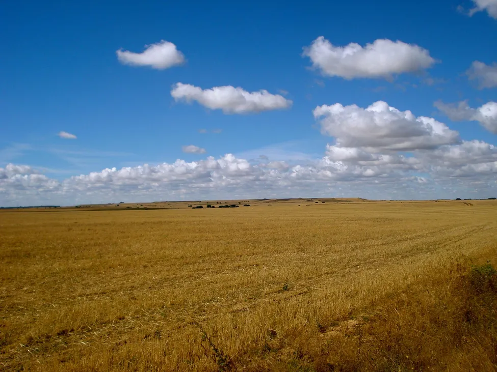 Klicka för att förstora