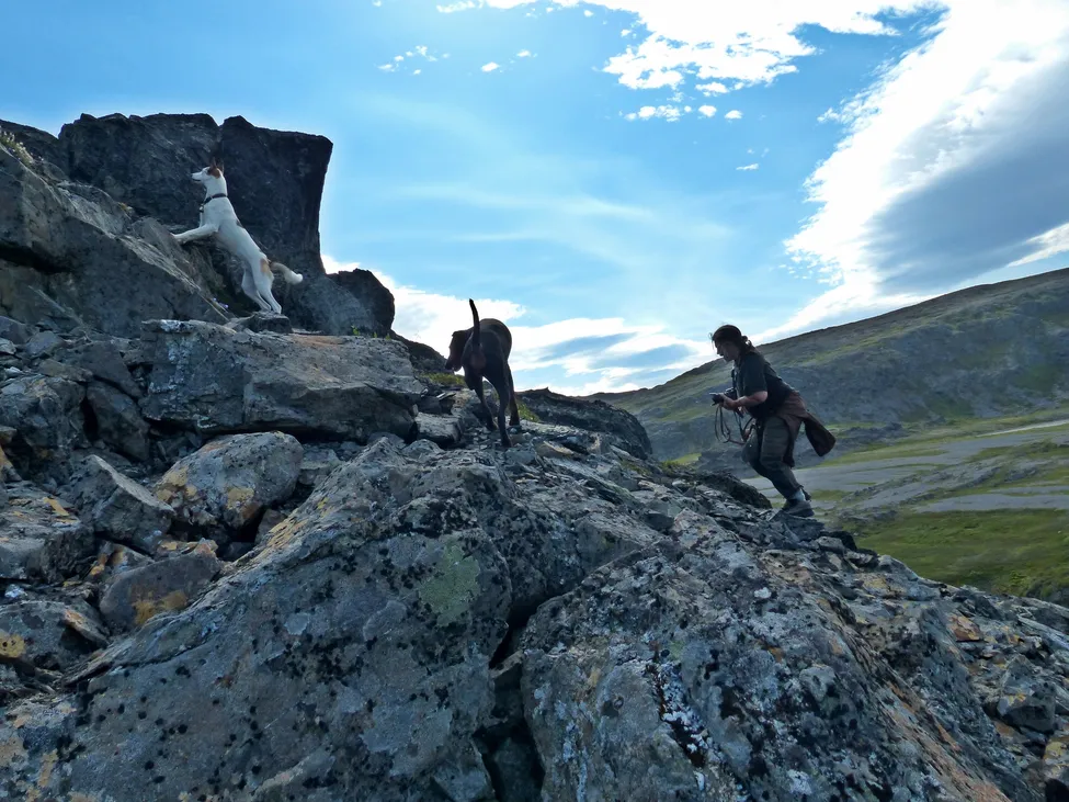 Klicka för att förstora
