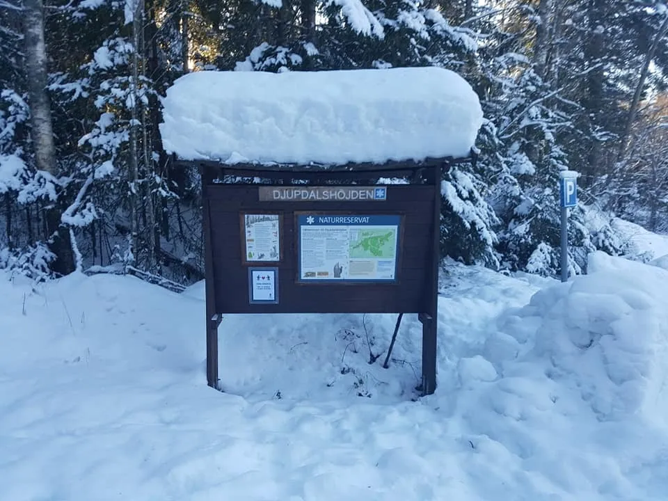 Klicka för att förstora