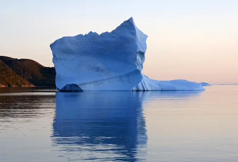 Skriet från vildmarken