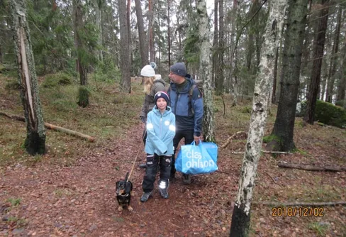Ny utsiktsplats vid Norrvikensjön, Törnskogens Naturreservat