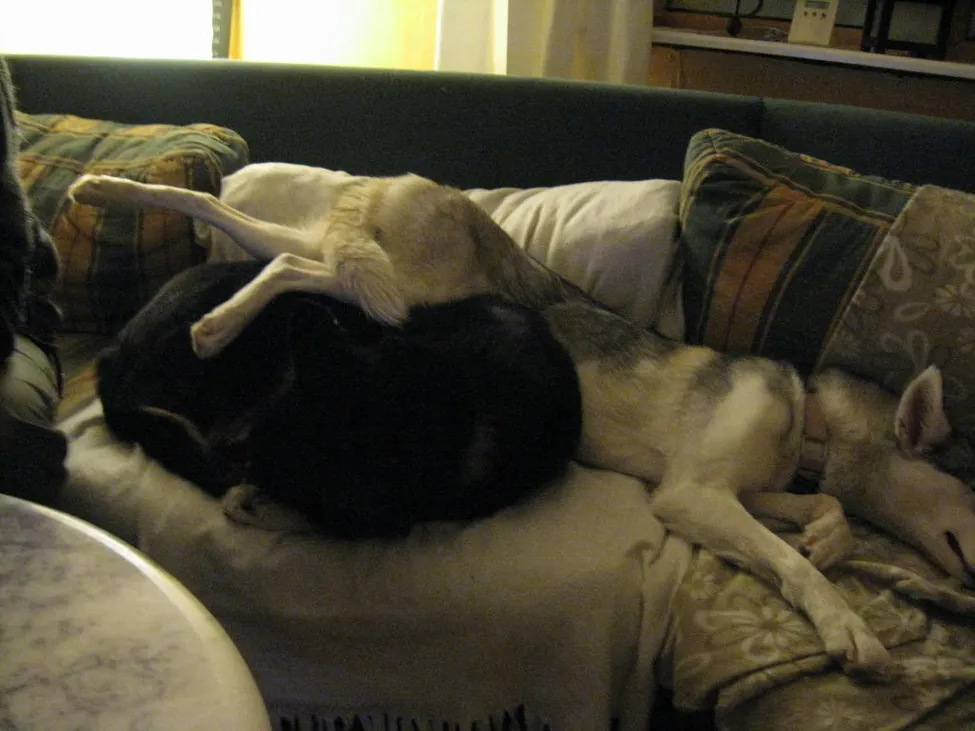 Klicka för att förstora