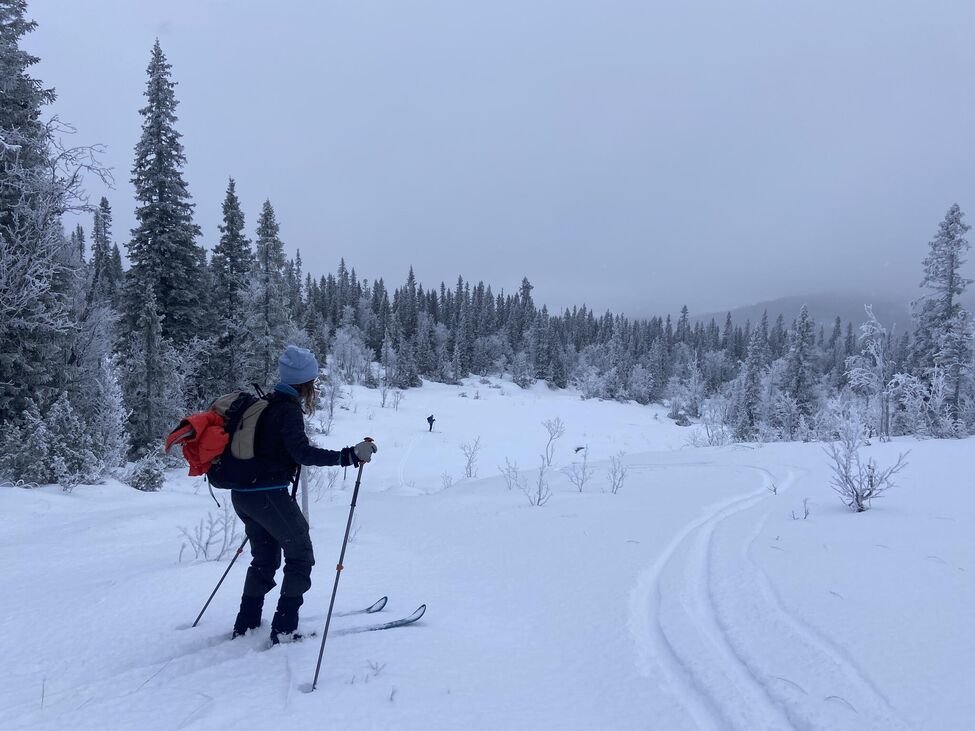 Klicka för att förstora