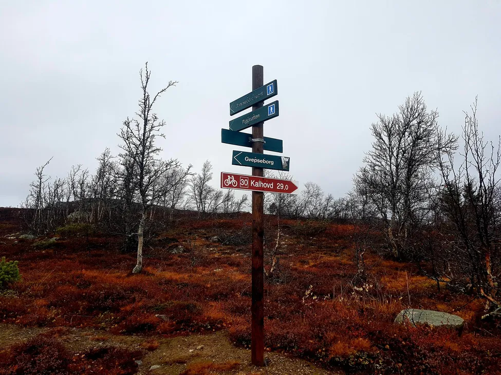 Klicka för att förstora