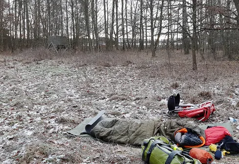 En taklös natt i vildsvinsskogen