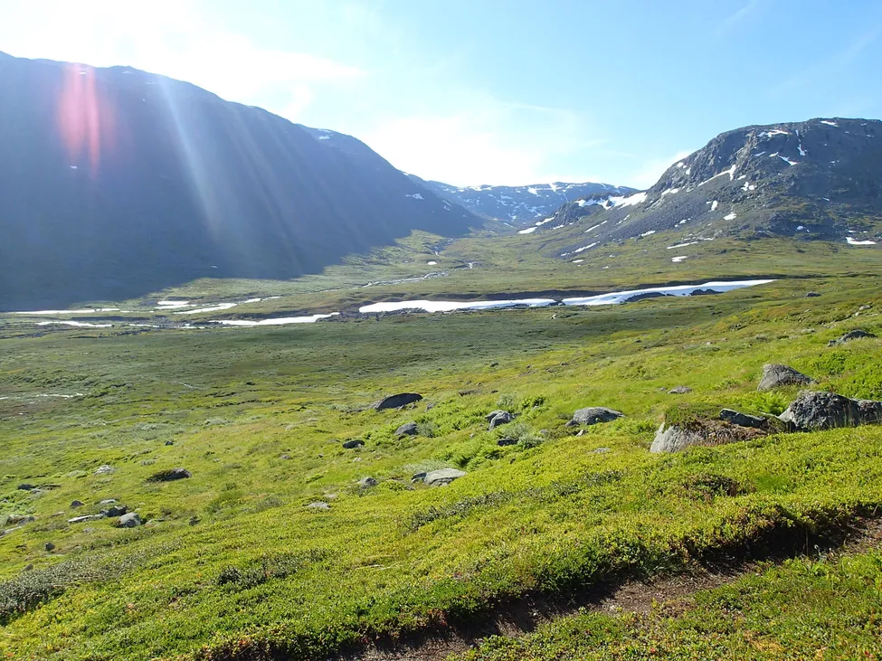 Klicka för att förstora