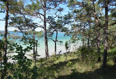 Nu startar arbetet för att bilda nationalpark i Bästeträsk