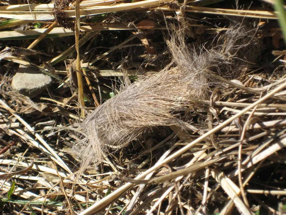 Klicka för att förstora