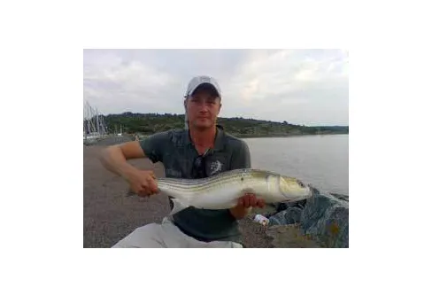 Nytt sportfiskerekord för allt vanligare varmvattensfisk