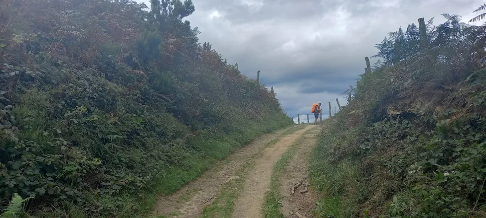 Klicka för att förstora