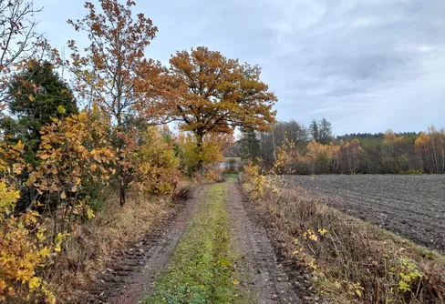 Byträsk, Geta, Åland