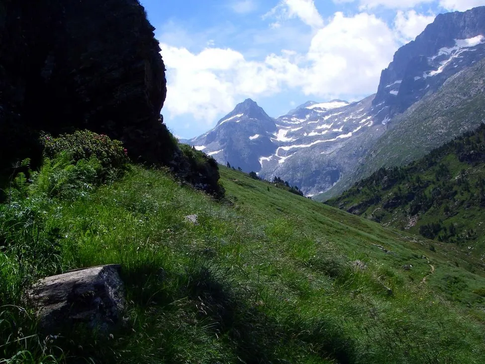 Klicka för att förstora