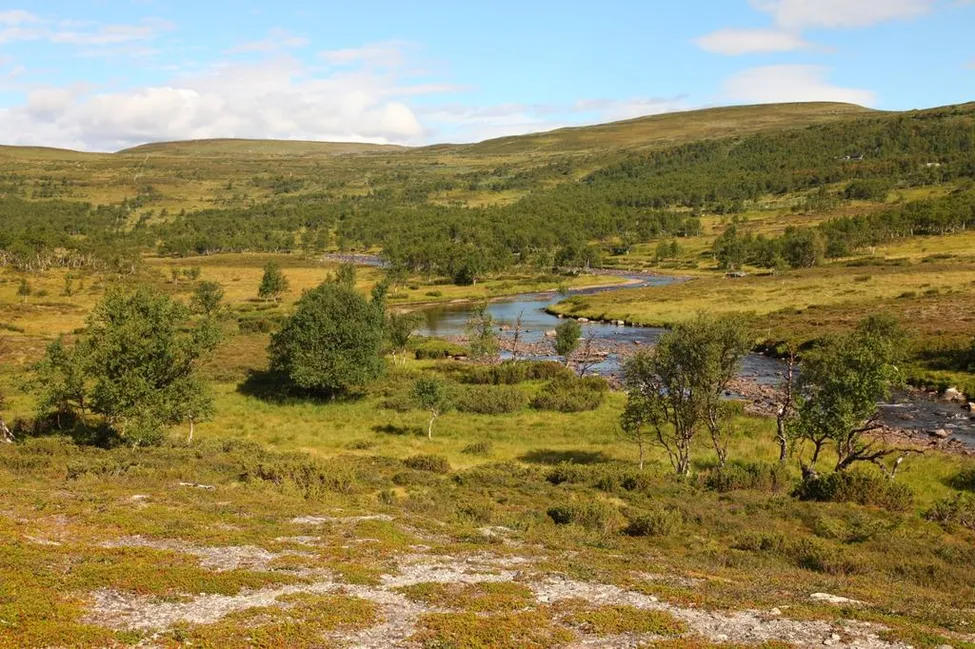 Klicka för att förstora