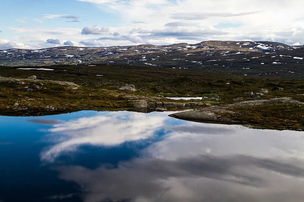 Klicka för att förstora