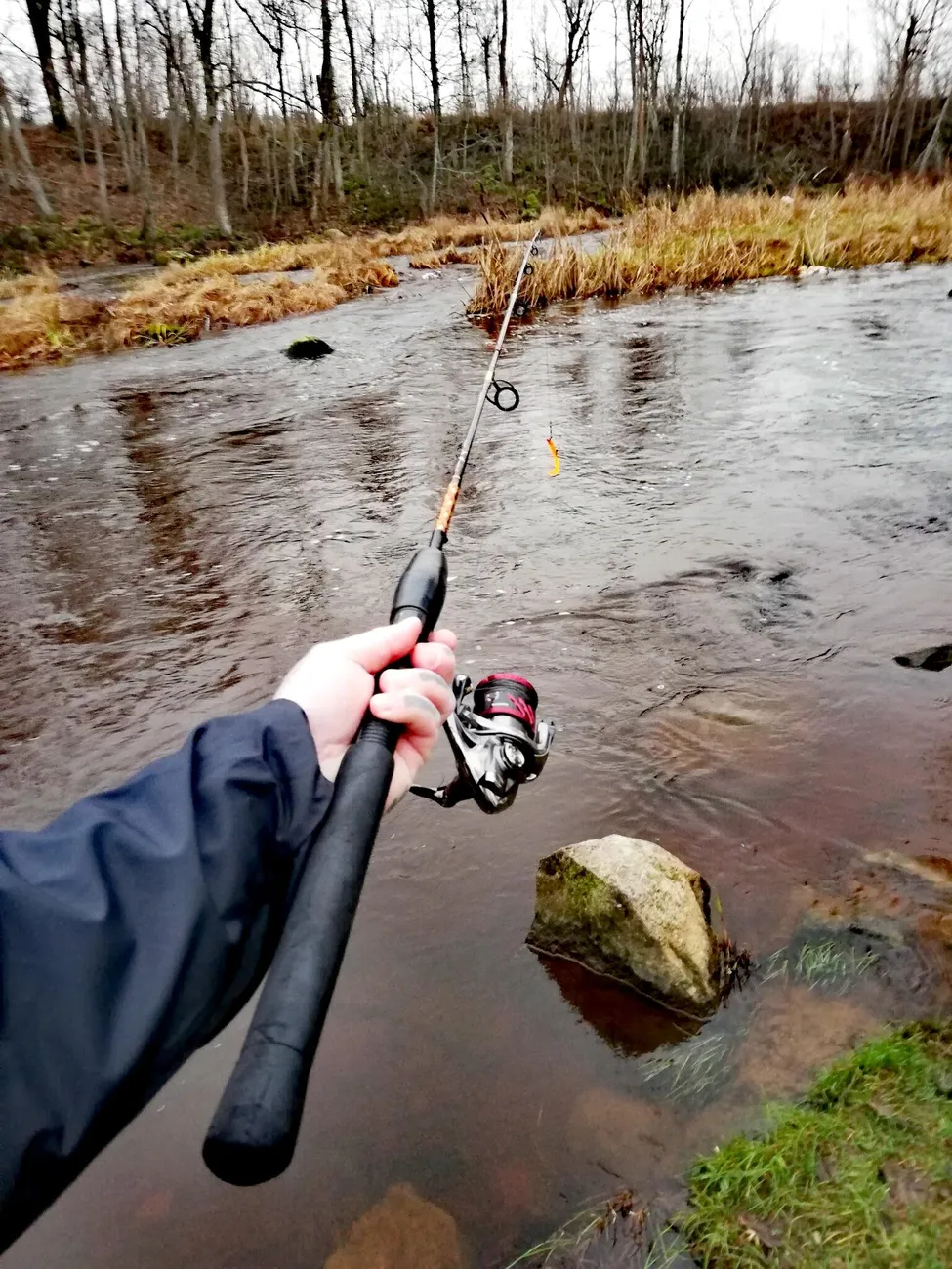 Klicka för att förstora