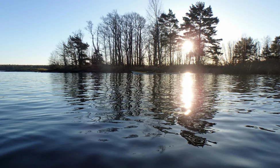 Klicka för att förstora