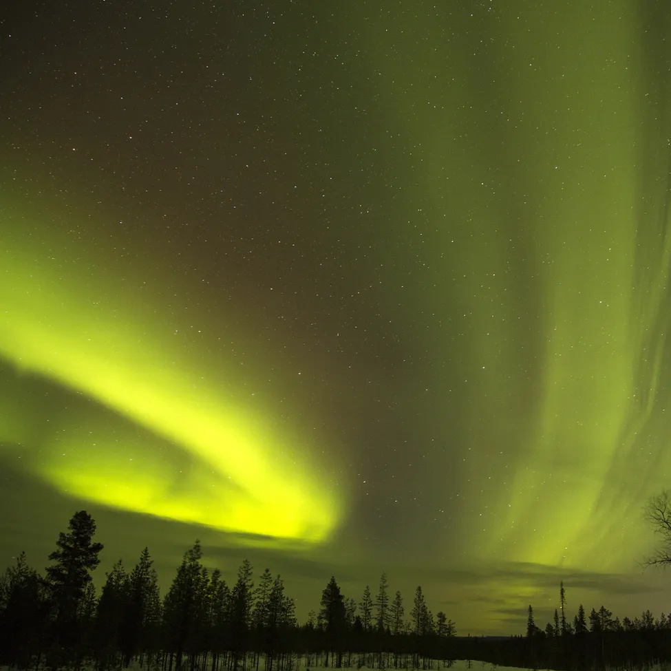 Klicka för att förstora