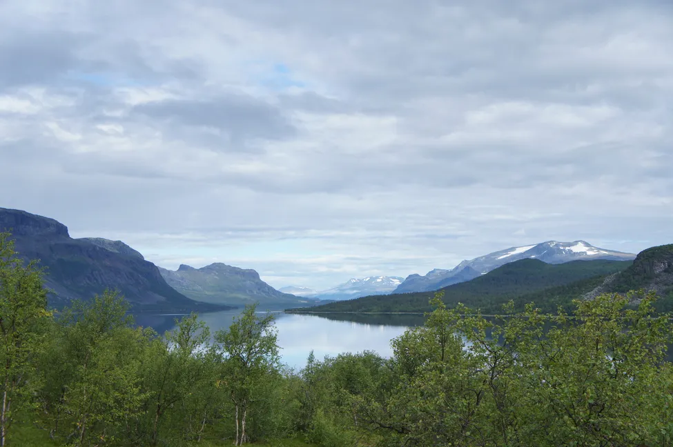 Klicka för att förstora