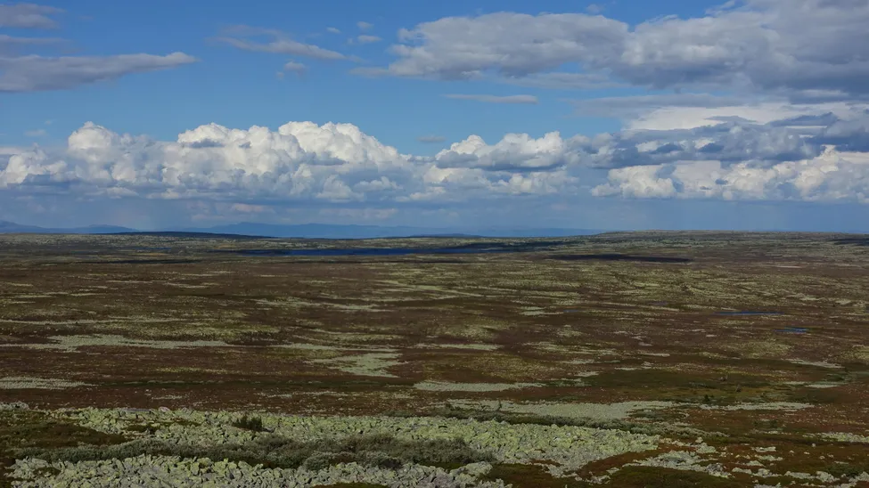 Klicka för att förstora