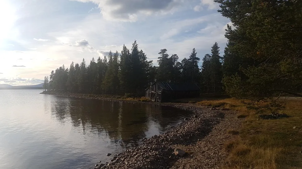 Klicka för att förstora