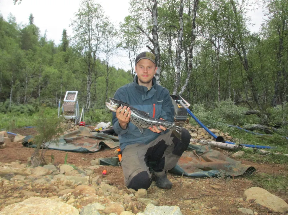 Klicka för att förstora