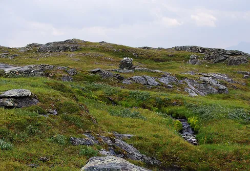 Färdvägen på fjället - Präststigen (2)