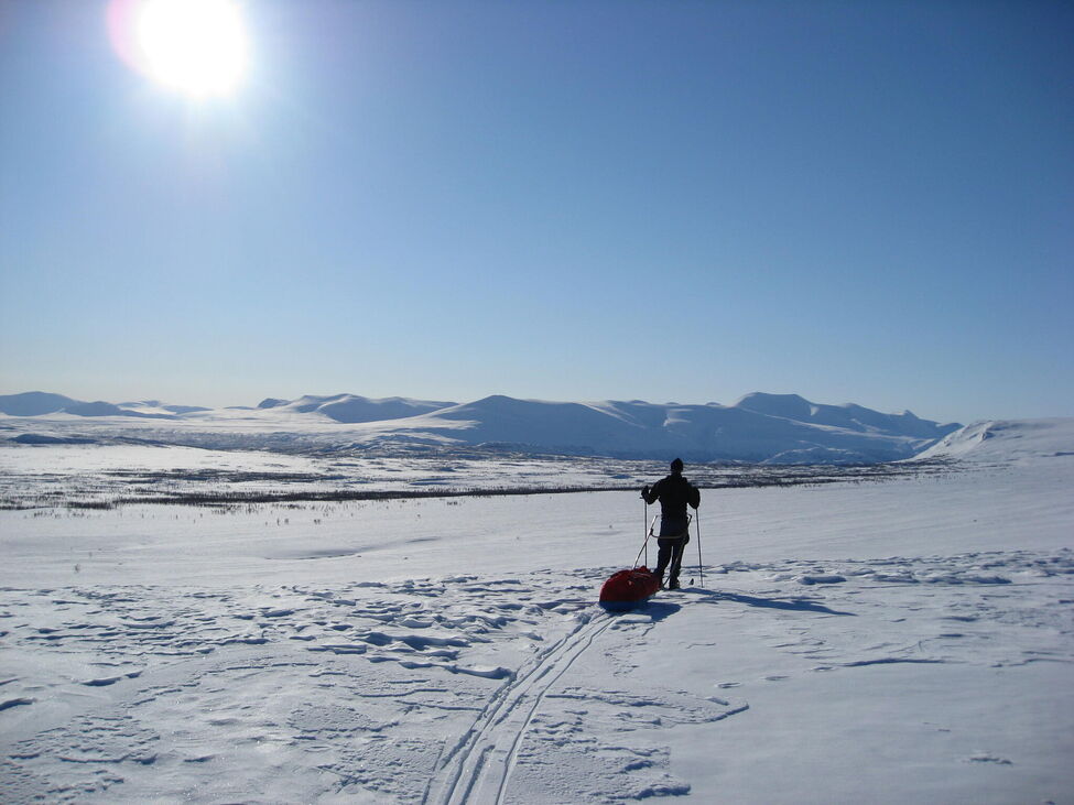 Klicka för att förstora