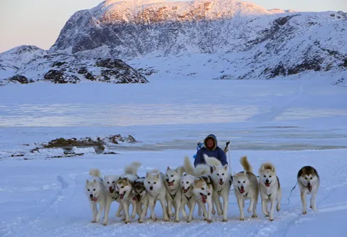 Grönland: En stor anledning