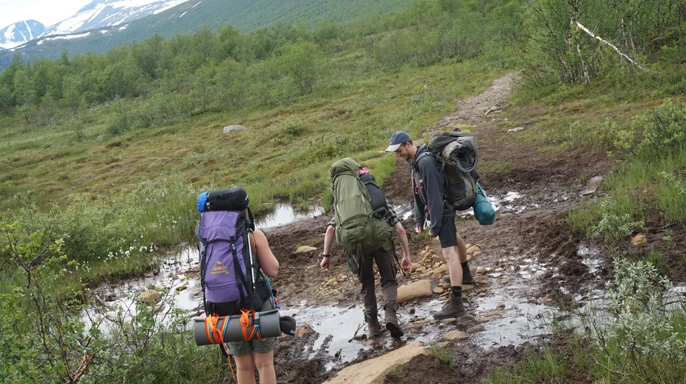 Klicka för att förstora