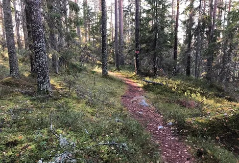 Kom igång och vandra!