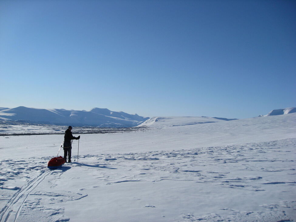 Klicka för att förstora
