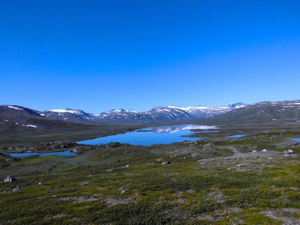 Klicka för att förstora