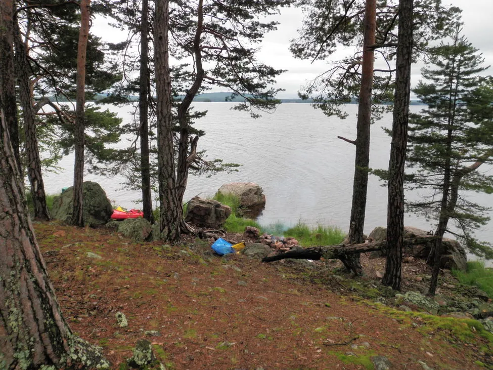 Klicka för att förstora