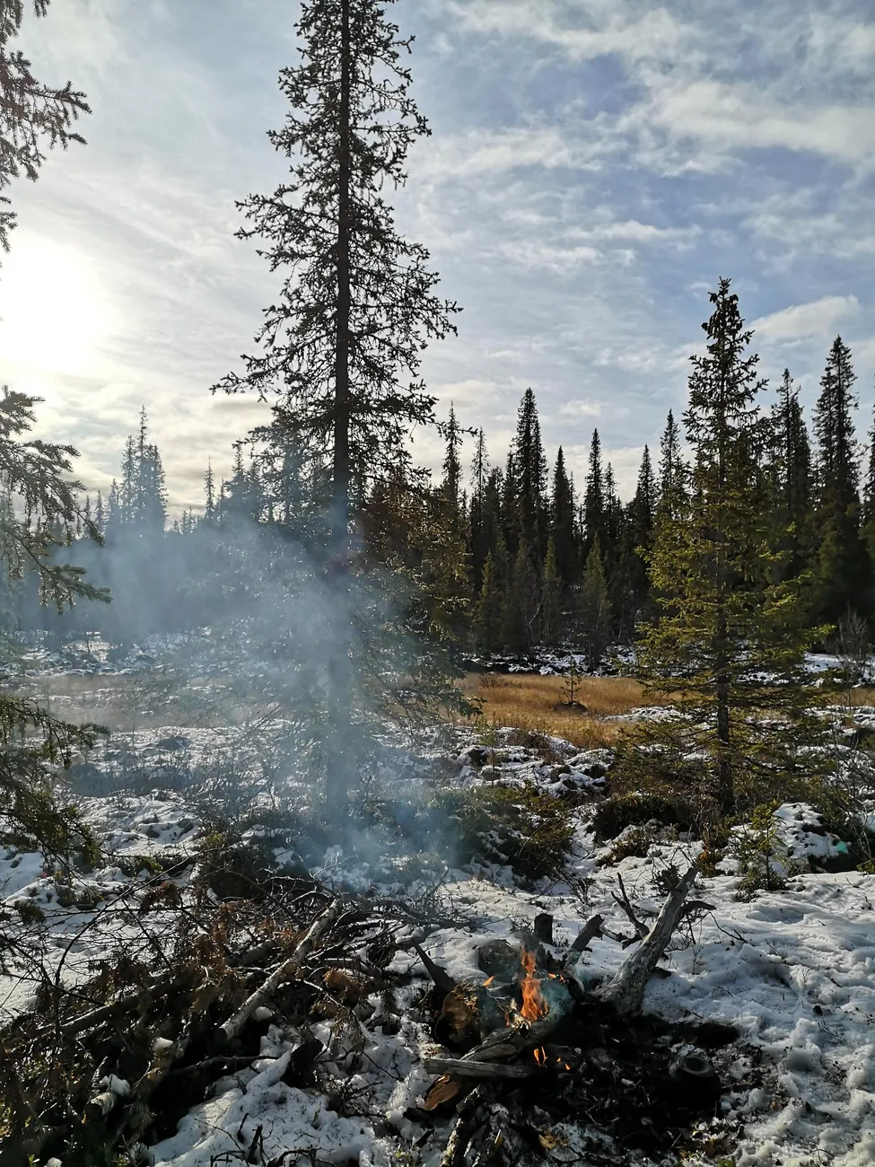 Klicka för att förstora