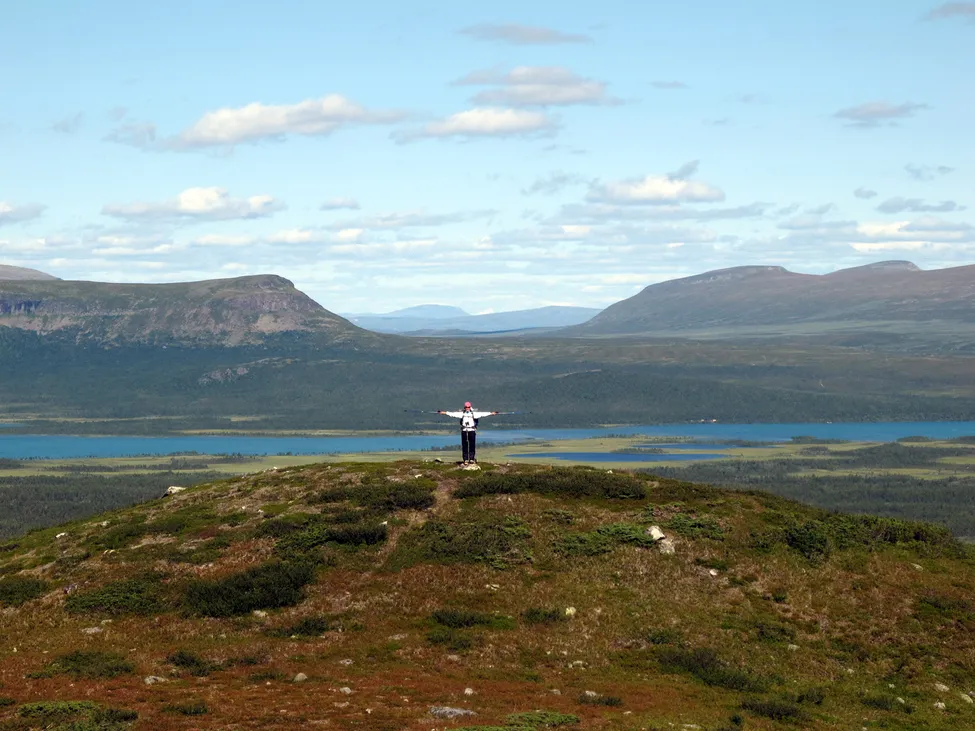 Klicka för att förstora