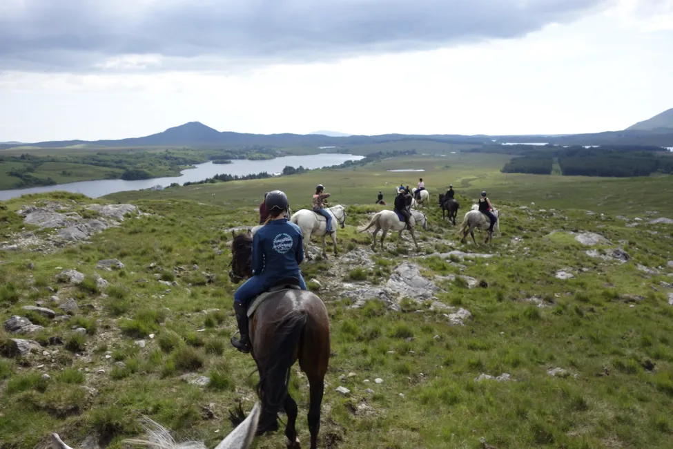 Klicka för att förstora