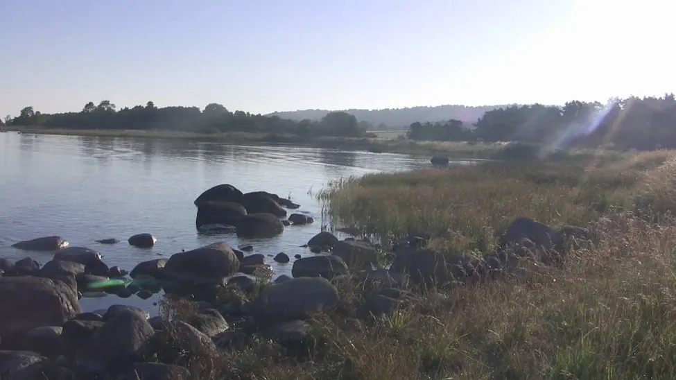 Klicka för att förstora