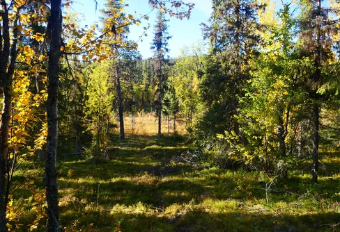 11 september – reviderad plan och asfalt